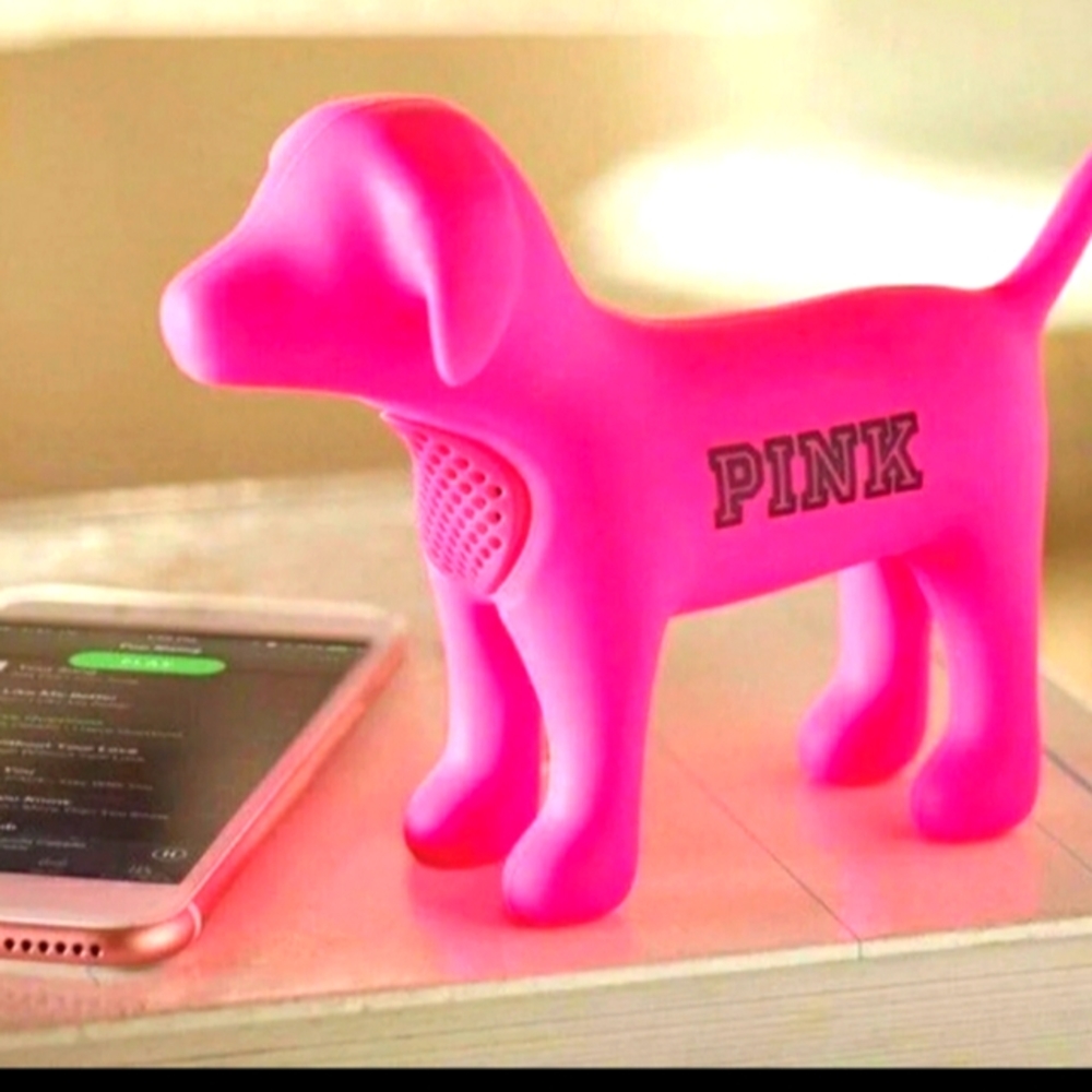 VS Pink Speaker